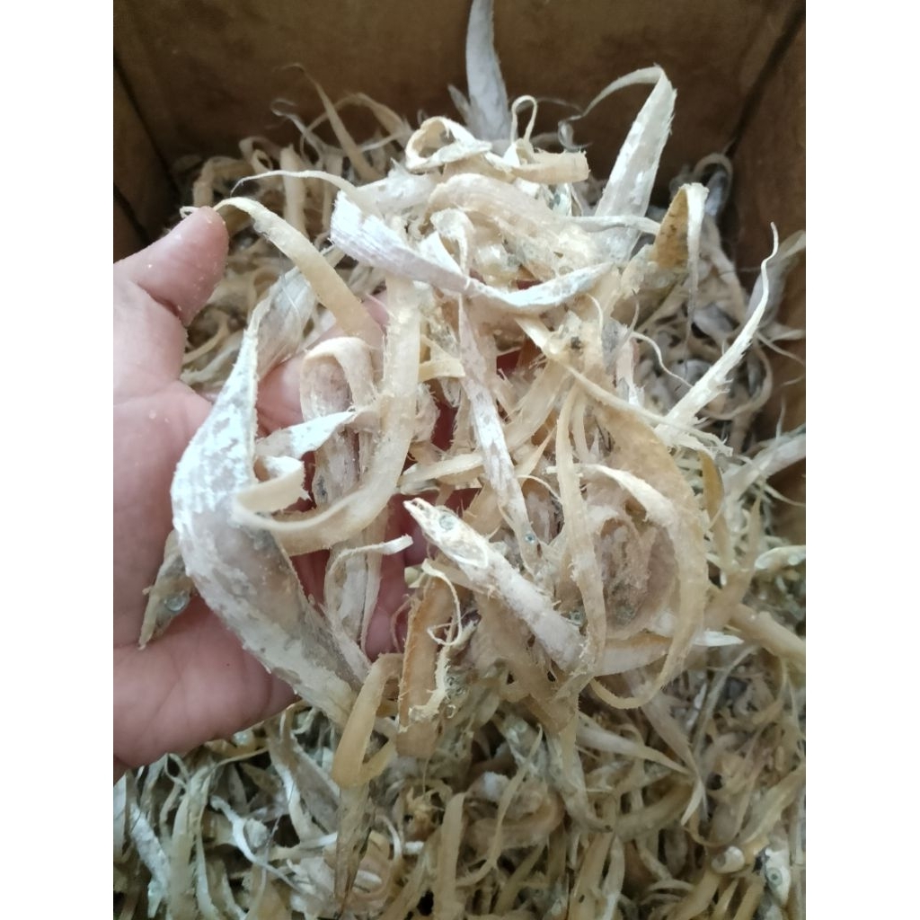 IKAN ASIN LAYUR KECIL/BABY LAYUR