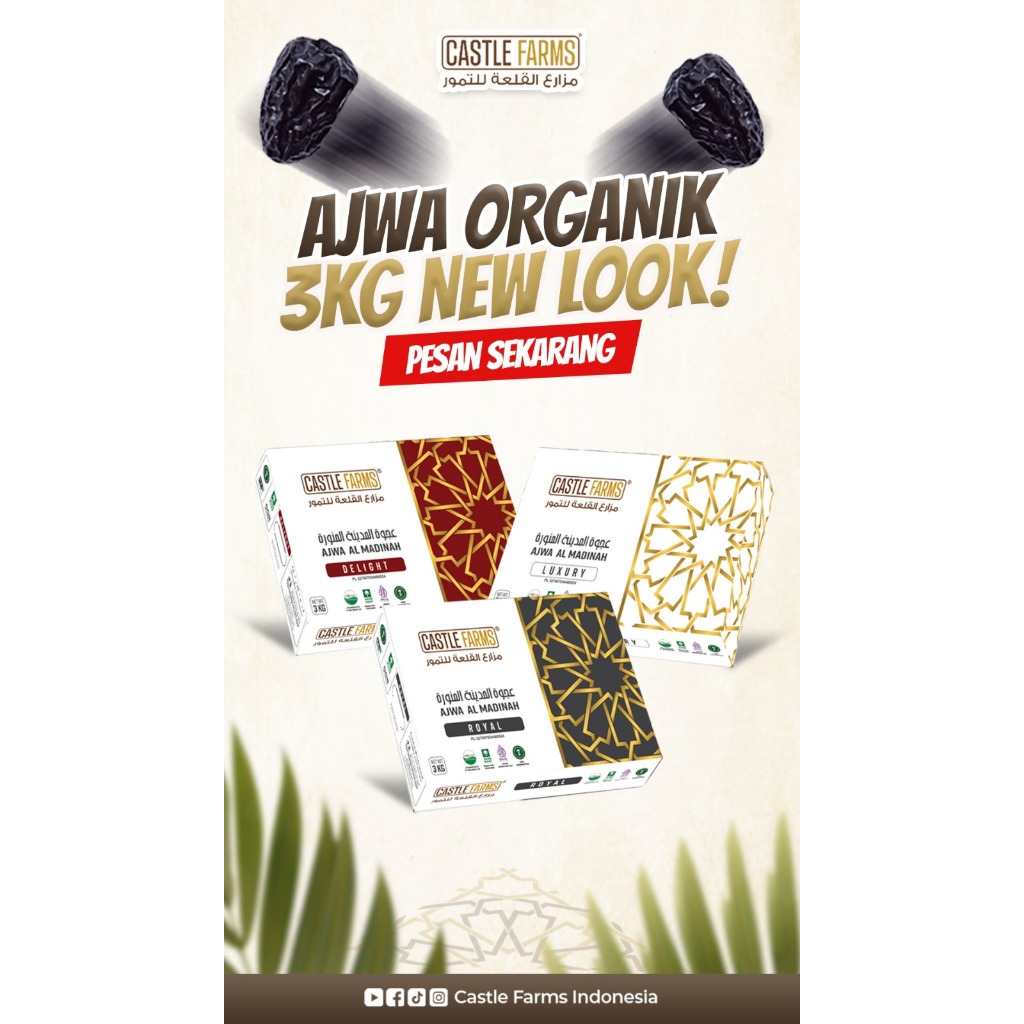 ajwa castle premium organik 3 kg royal  / ajwa madinah organik