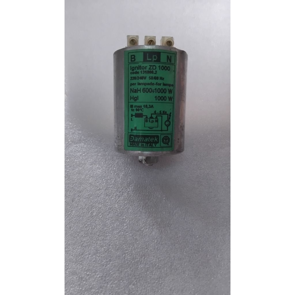 ignitor ZD 1000 220v Nah 600- 1000w
