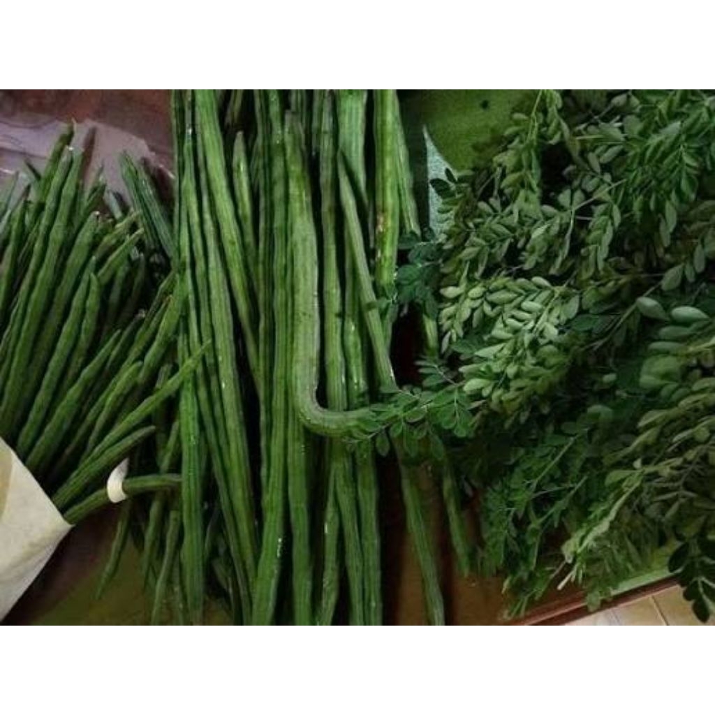 BUAH KELOR TRETAN ASRAF