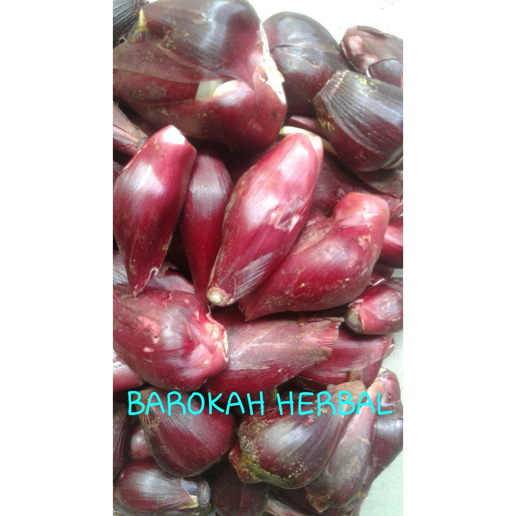 Bawang Kalimantan Bawang Berlian Bawang Lanang 1.000 Gram