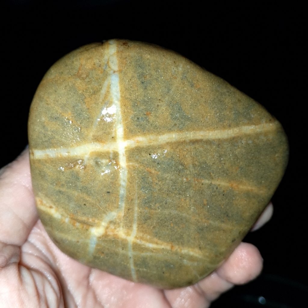 Batu tapak jalak urat timbul tapak jalak urat timbul