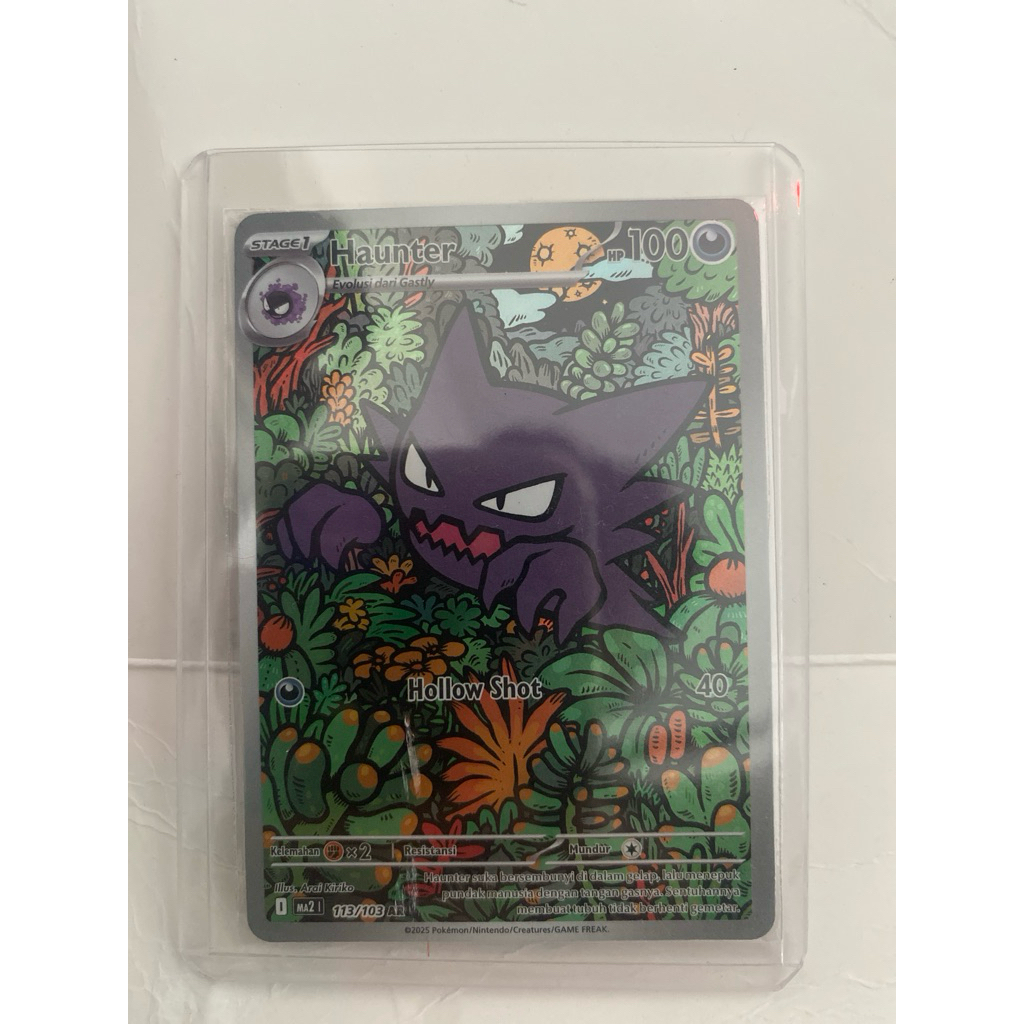 HAUNTER AR DAN NINJASK AR