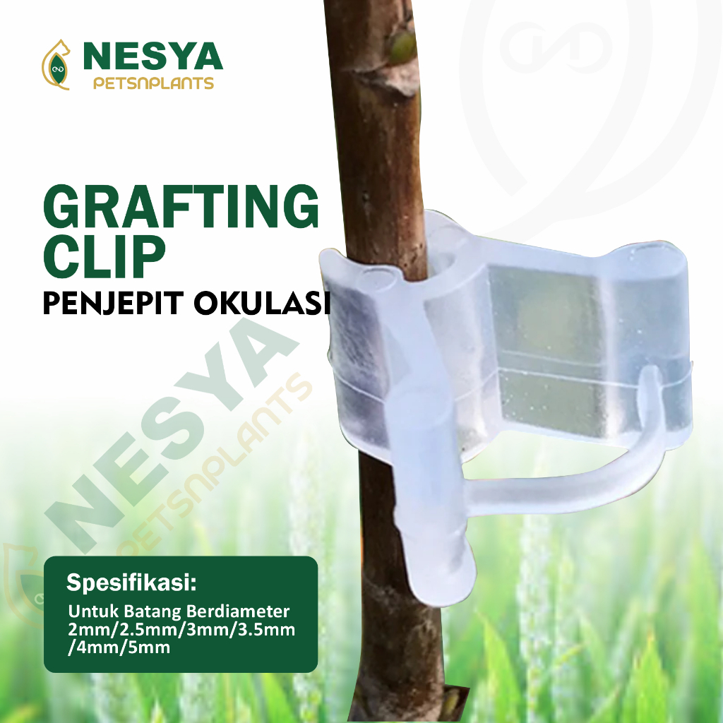 Grafting Clip Penjepit Okulasi Sambung Pucuk Tanaman