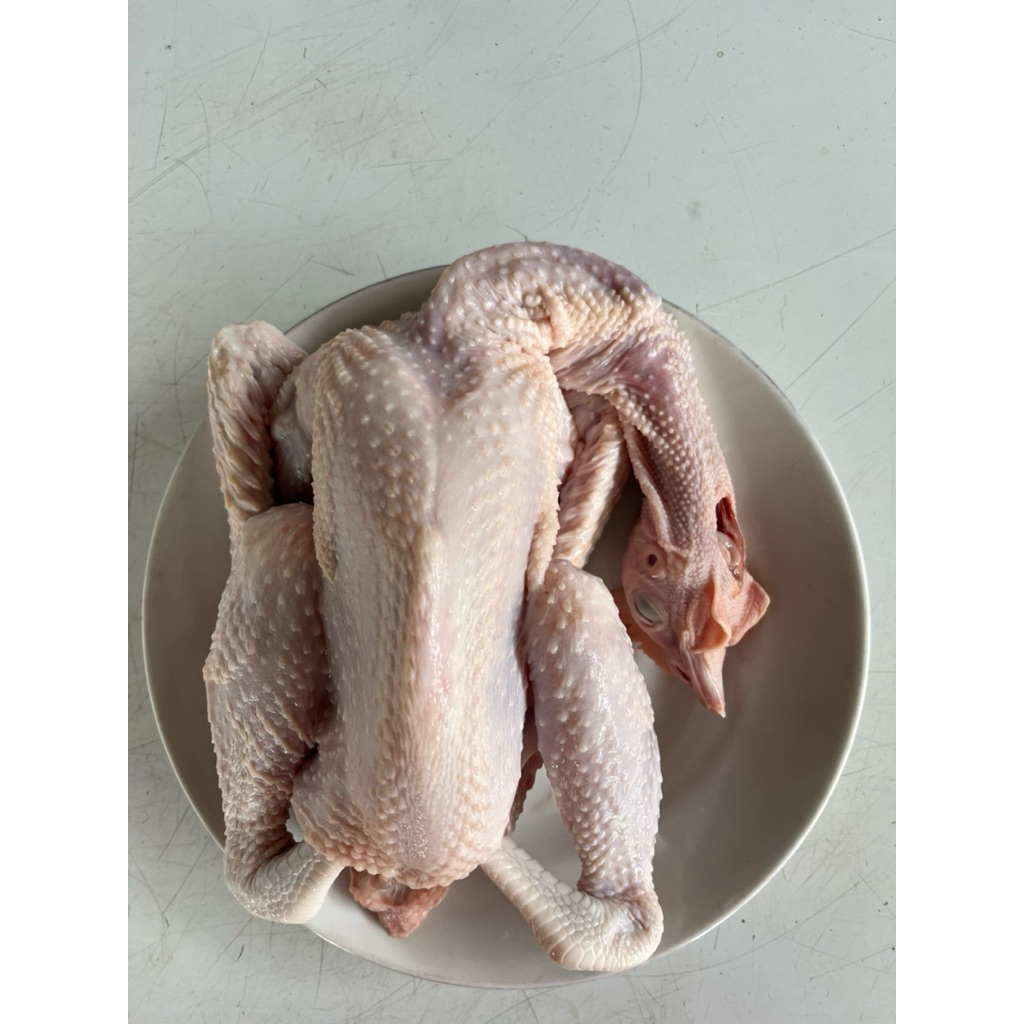 Ayam Pejantan Asli Fresh