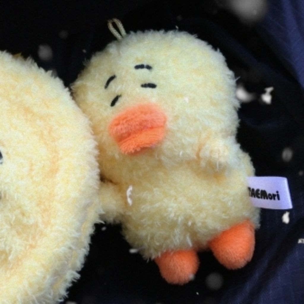 [Baca Deskripsi] PO SHINee TAEMIN COZY NEST Official MD - Taemori Doll Taemari keyring goodluck t-sh