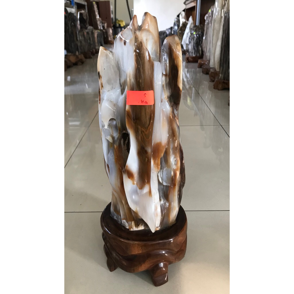 Batu fosil kayu akik tembus