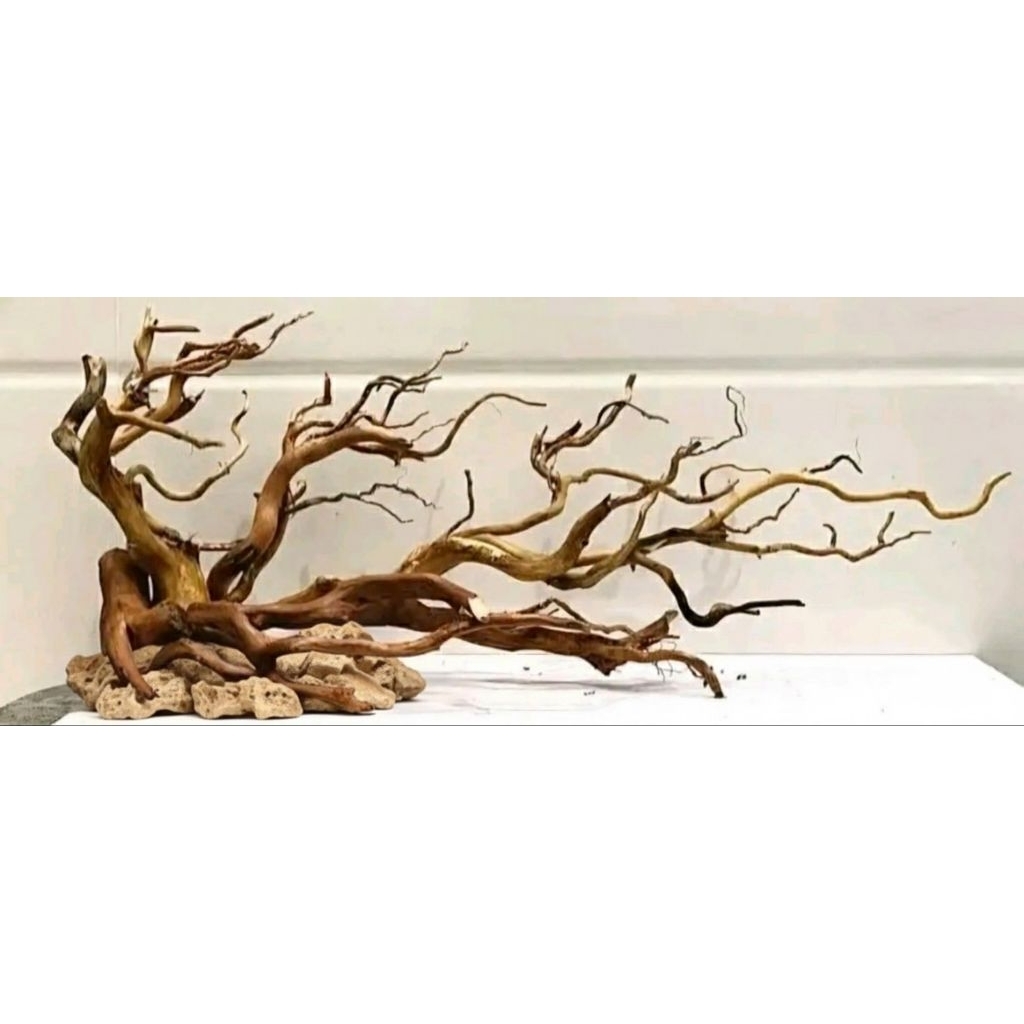 bonsai hardscape bonus moss Weeping dan lem