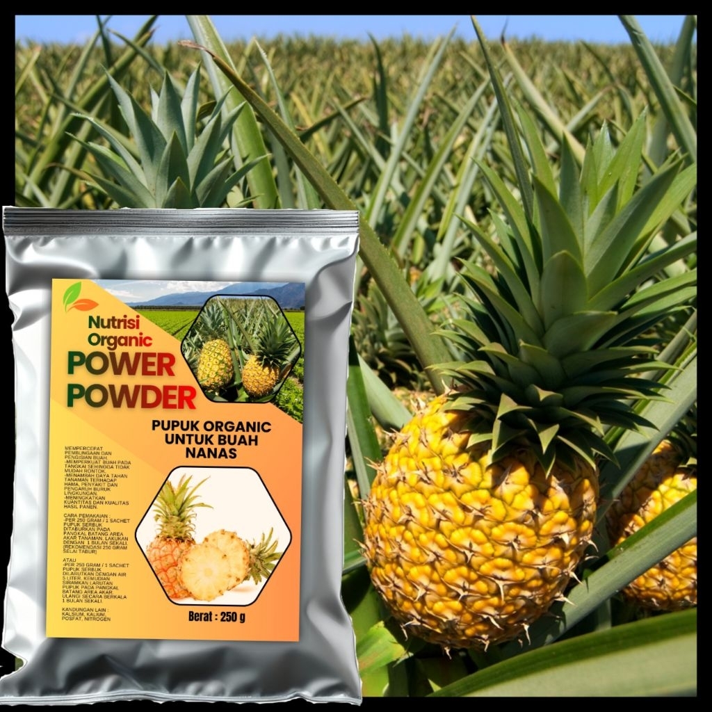 PUPUK  NUTRISI ORGANIK PERANGSANG BUAH NANAS