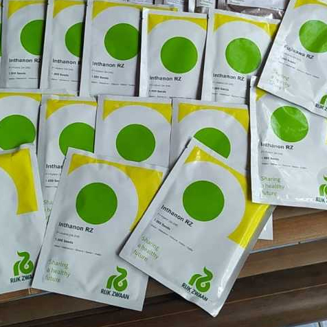 Inthanon 100 seed Benih melon Rijk zwaan