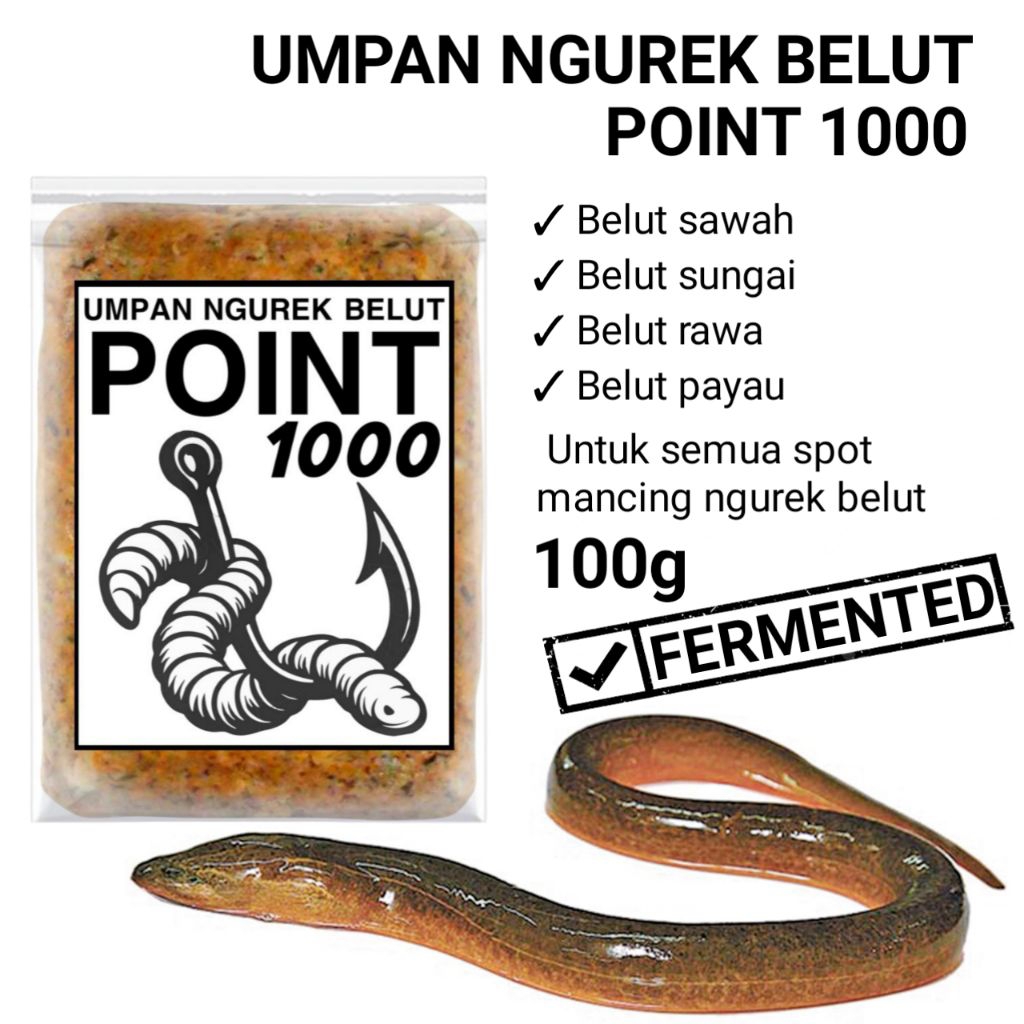 Umpan ngurek belut sawah