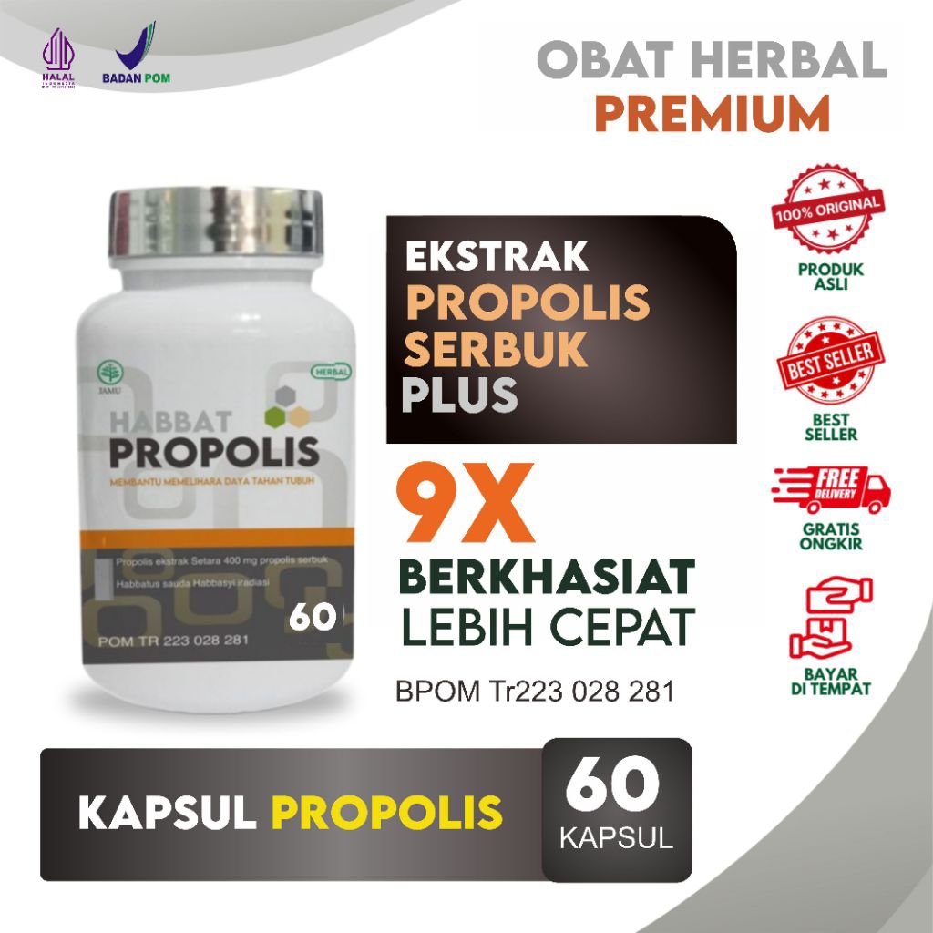 PROPOLIS kapsul Ekstrak Habbat Propolis