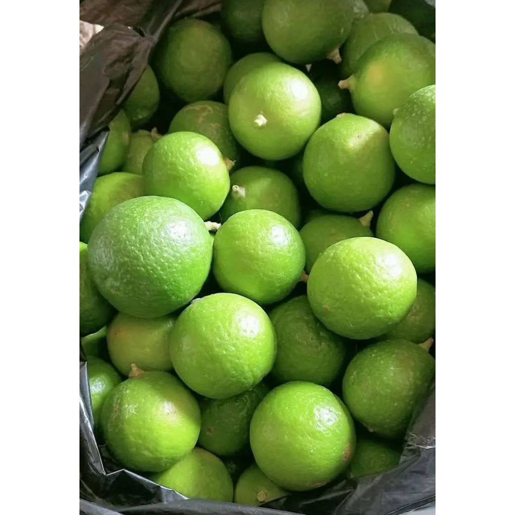 Jeruk Lemon California Lokal 1kg Segar Besar