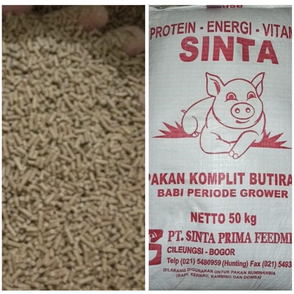 Sinta PSB 22 pakan babi pellet pakan hewan