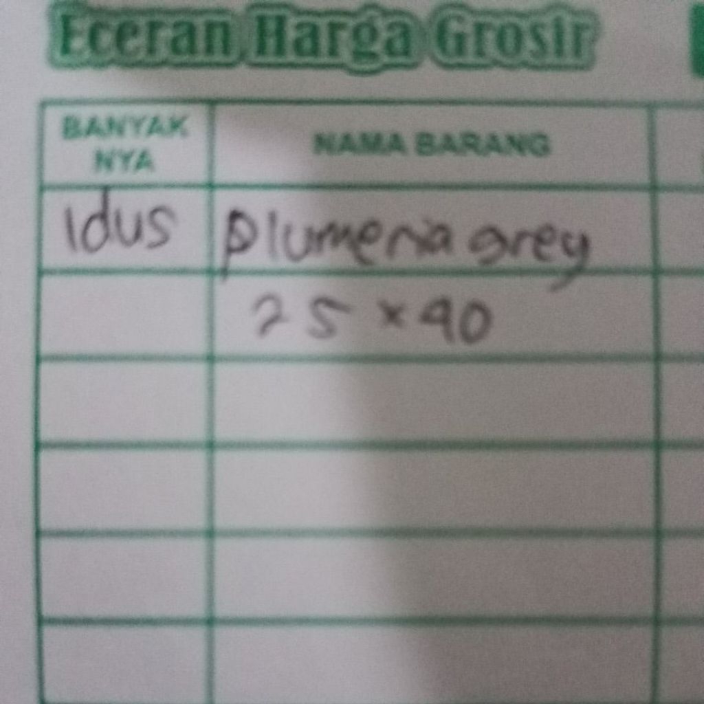 Keramik 25x40 PLUMERIA GREY