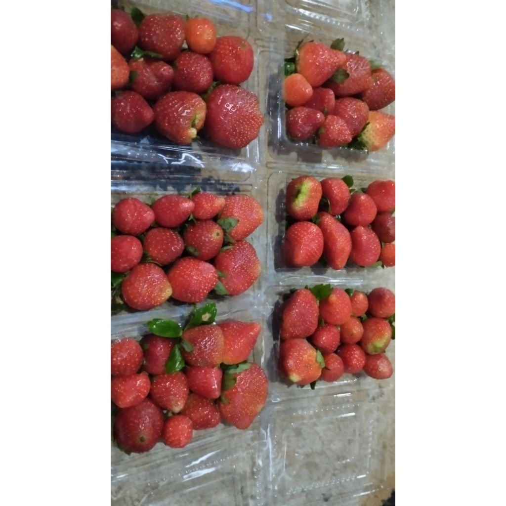 Strawberry Lokal Segar 1kg - Manis, Segar, dan Kaya Vitamin