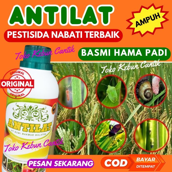 OBAT PESTISIDA ULAT PADI 500ML Organik Premium Ampuh Untuk Sawah