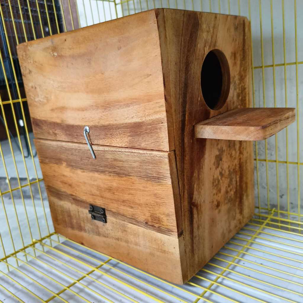 GELODOK LOVE BIRD SARANG BURUNG LOVE BIRD UNTUK BERTELUR BURUNG LOVE BIRD DISANGKAR BREEDING