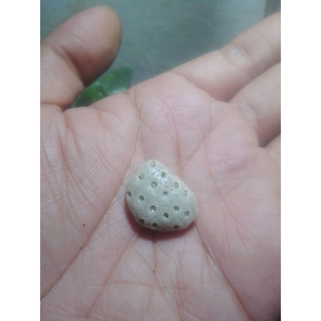 batu unik temuan galian