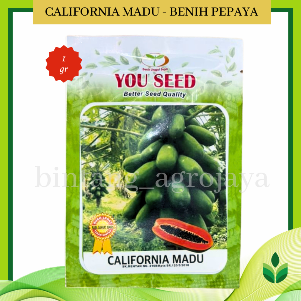 Benih Bibit Pepaya California Madu 1 gr - You Seed