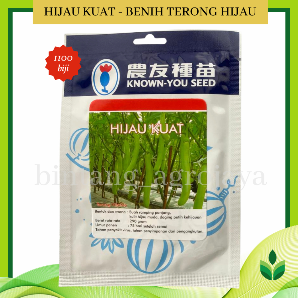 Benih Bibit Terong Hijau Kuat 1100 Biji - Known You Seed
