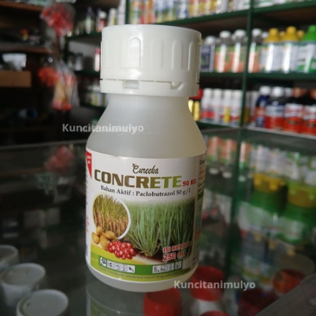 ZPT Paklobutrazol CONCRETE Pembesar Umbi Bawang Merah (250 ml)