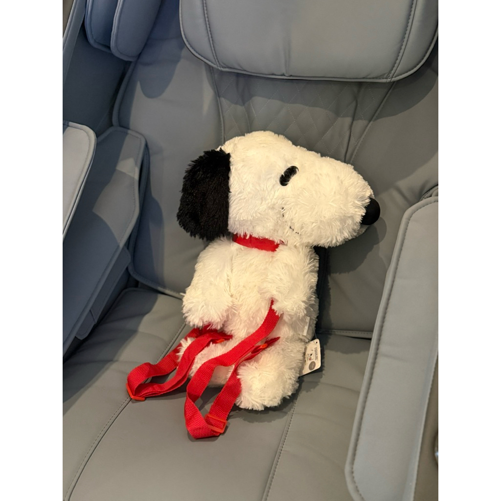 Snoopy Doll Bag