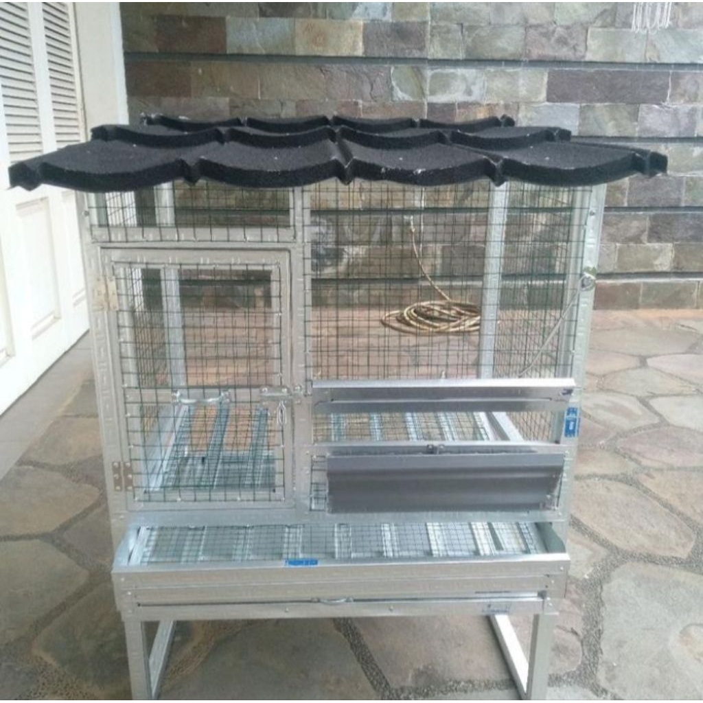 Kandang ayam petelur