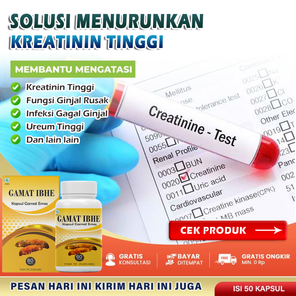Obat Kreatinin Tinggi Paling Ampuh Menurunkan Kreatinin Dan Ureum Memperbaiki Fungsi Ginjal Infeksi 