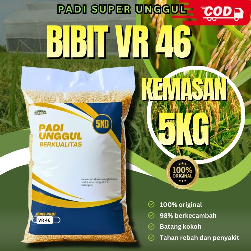 benih padi vr 46 5kg