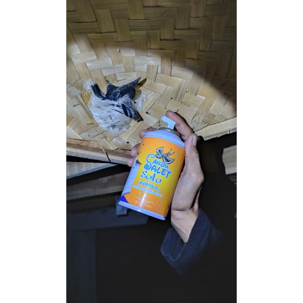 parfum burung walet candu solo