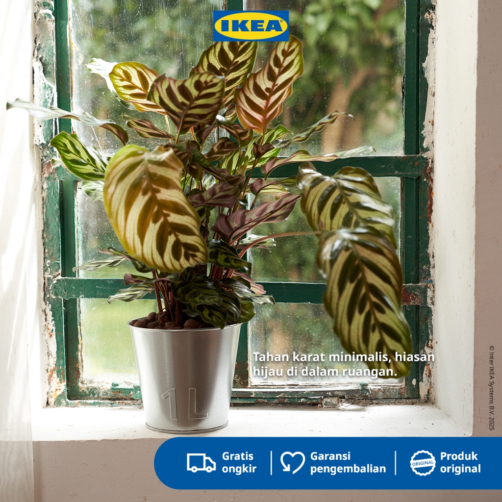 IKEA AKERBAR Pot Tanaman Galvanis 12cm