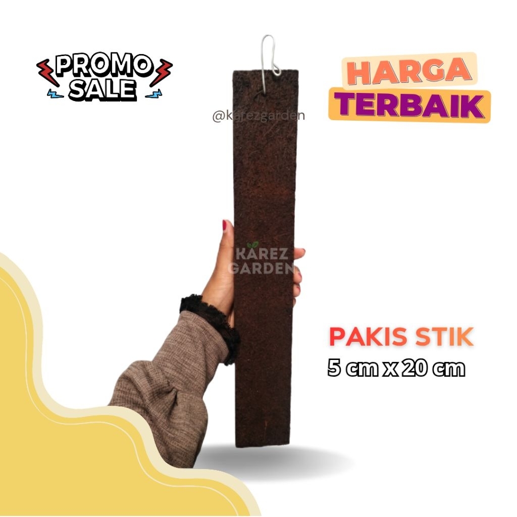 karez garden | pakis turus tanaman stik 5 cm x 20 cm