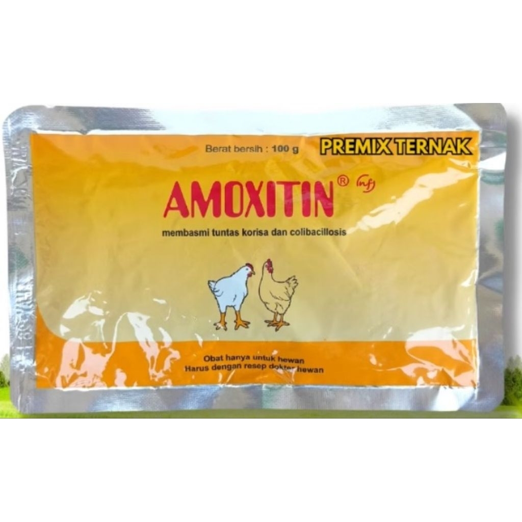 amoxitin 100 gram