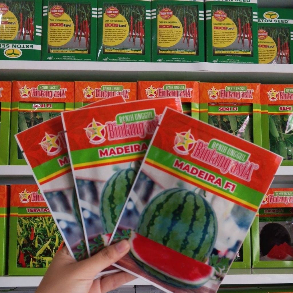 benih semangka MADEIRA F1 isi 20gram