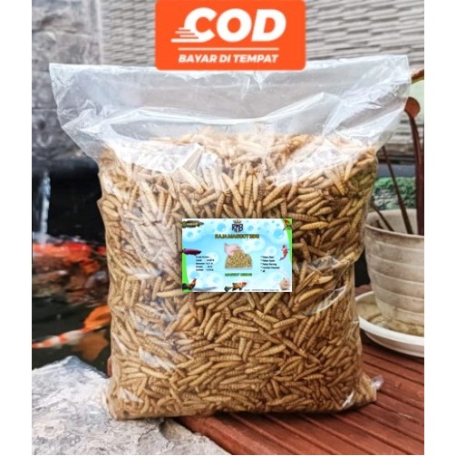 Maggot Kering BSF 1 KG - Tingkatkan Warna, Pertumbuhan, dan Daya Tahan Ikan