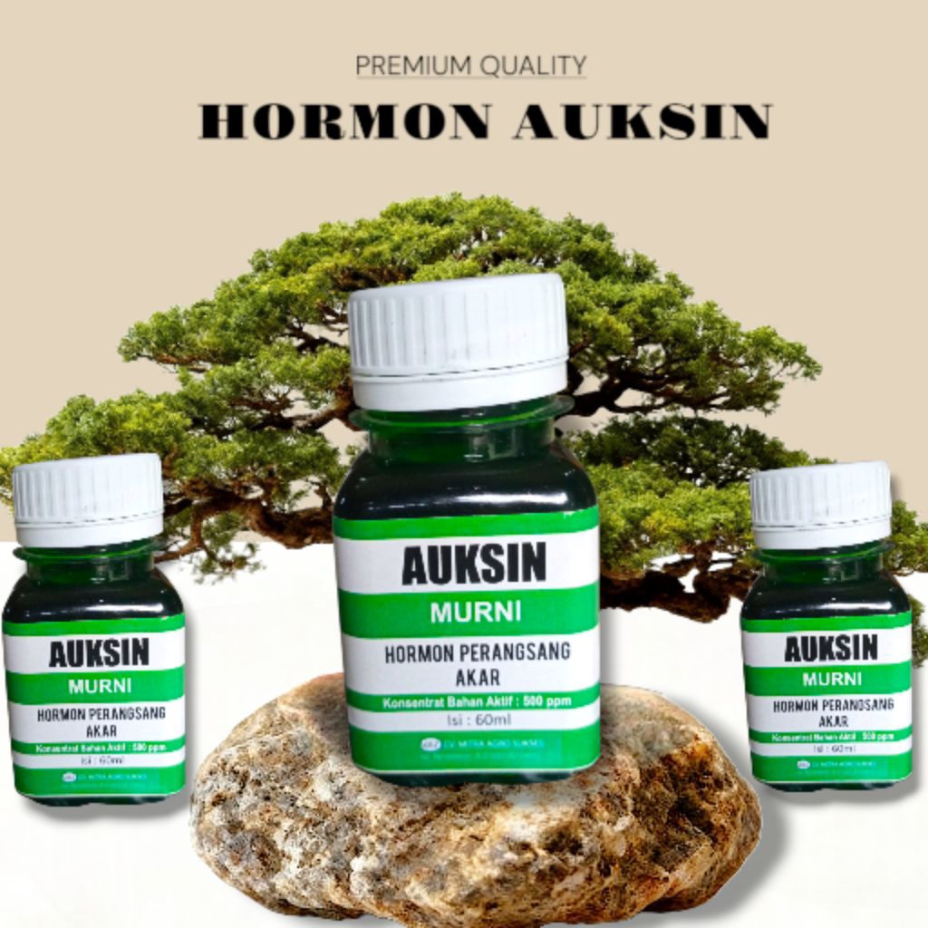 Auksin ZPT Hormon Perangsang akar Auksin Murni 60ml