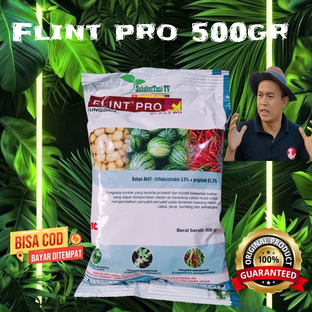 FUNGISIDA FLINT PRO 500GR 61.3/3.5 WG