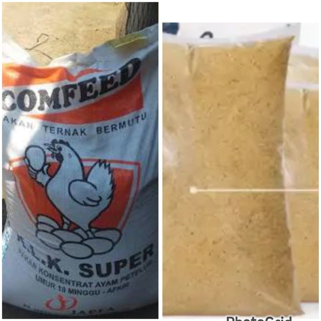 Konsentrat ayam petelur k.l.k pakan ayam