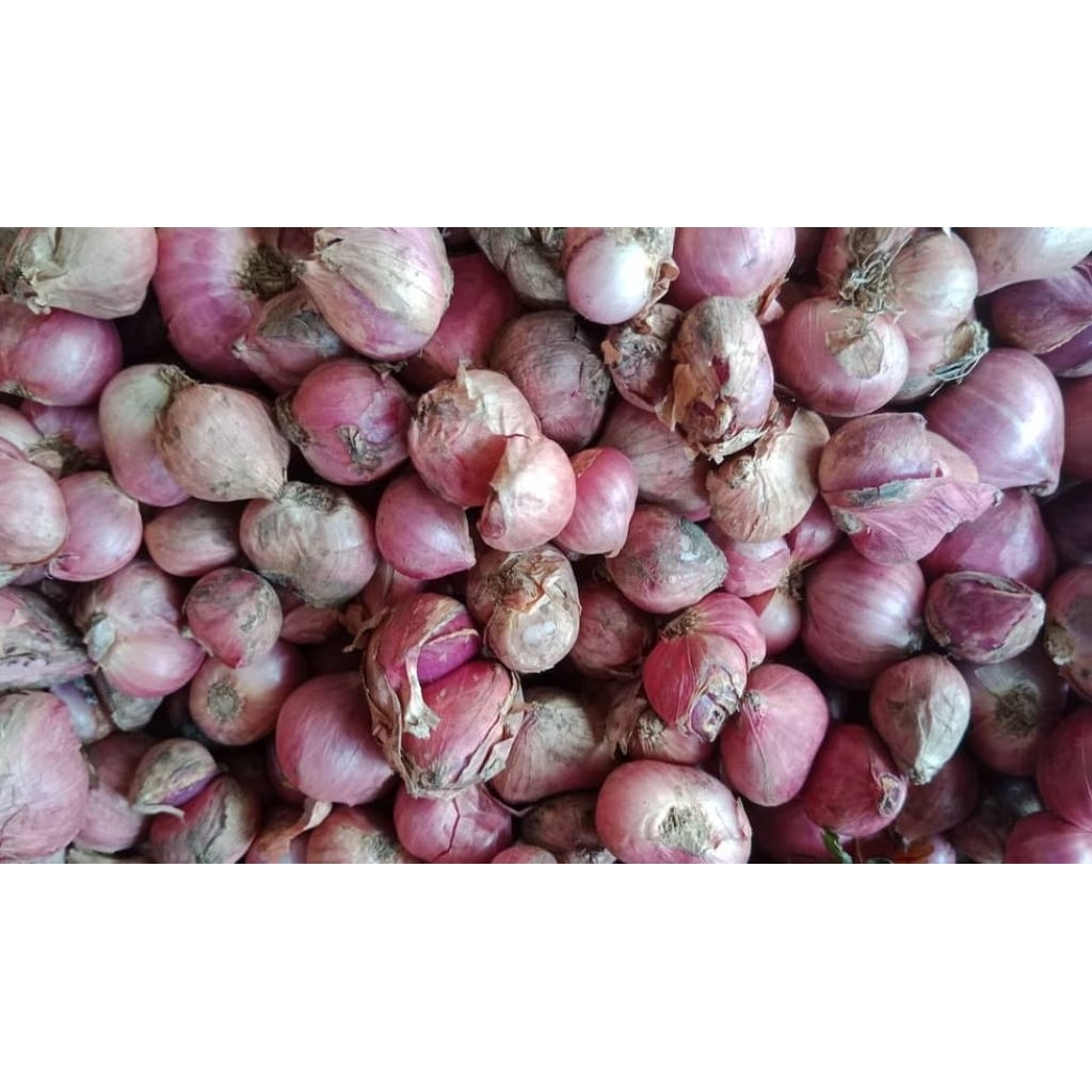Bawang Merah Besar~_1 kg_~bawang merah batu murah