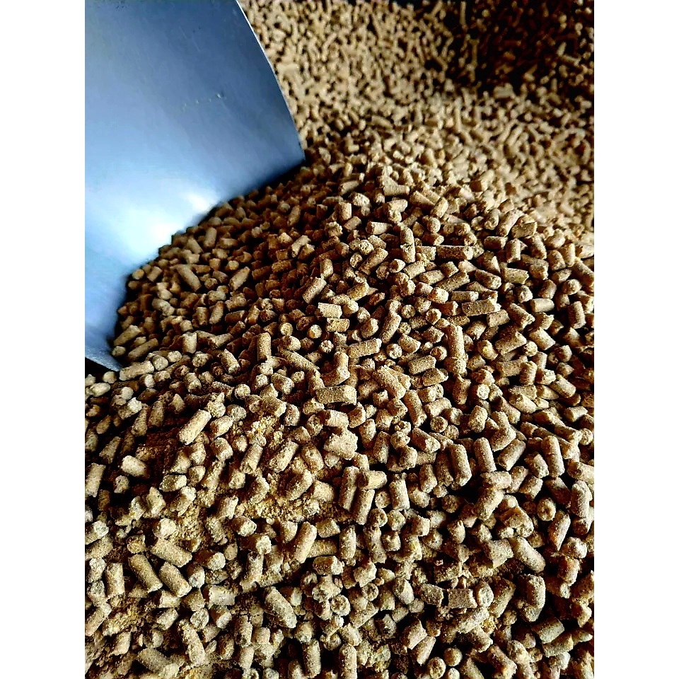 Pakan Ternak Pur B2 Pur Ayam Jago Pur Ayam Bangkok