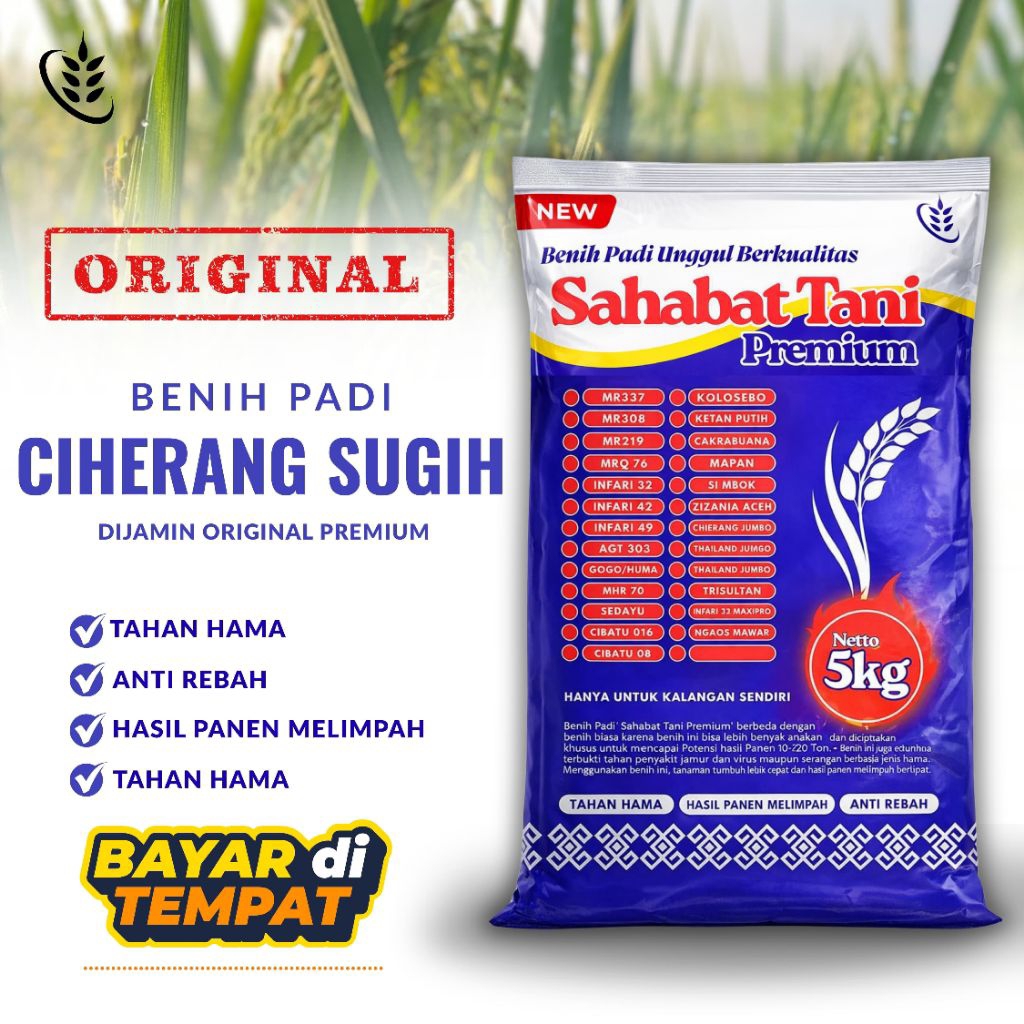 BENIH PADI CIHERANG SUGIH KEMASAN 5KG ORIGINAL