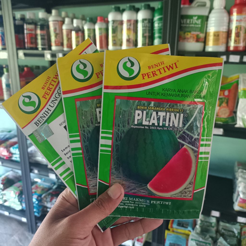 Benih Semangka Non biji Platini 20gram (Exp. Juli 2027)