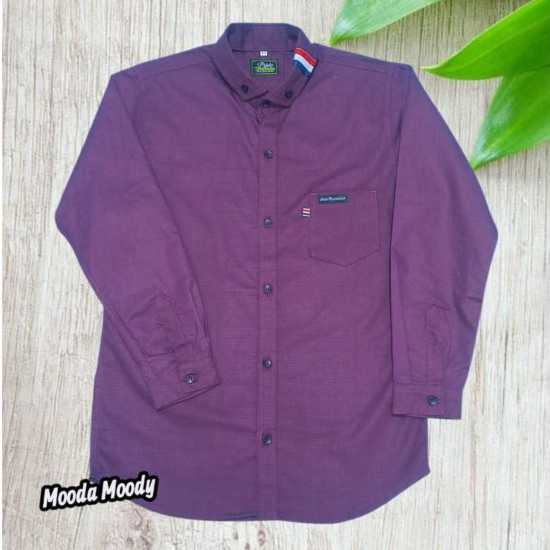 Mooda Moody - Kemeja Anak Laki Laki Lengan Panjang Warna Ungu Terong Kemeja Anak Warna Burgundy