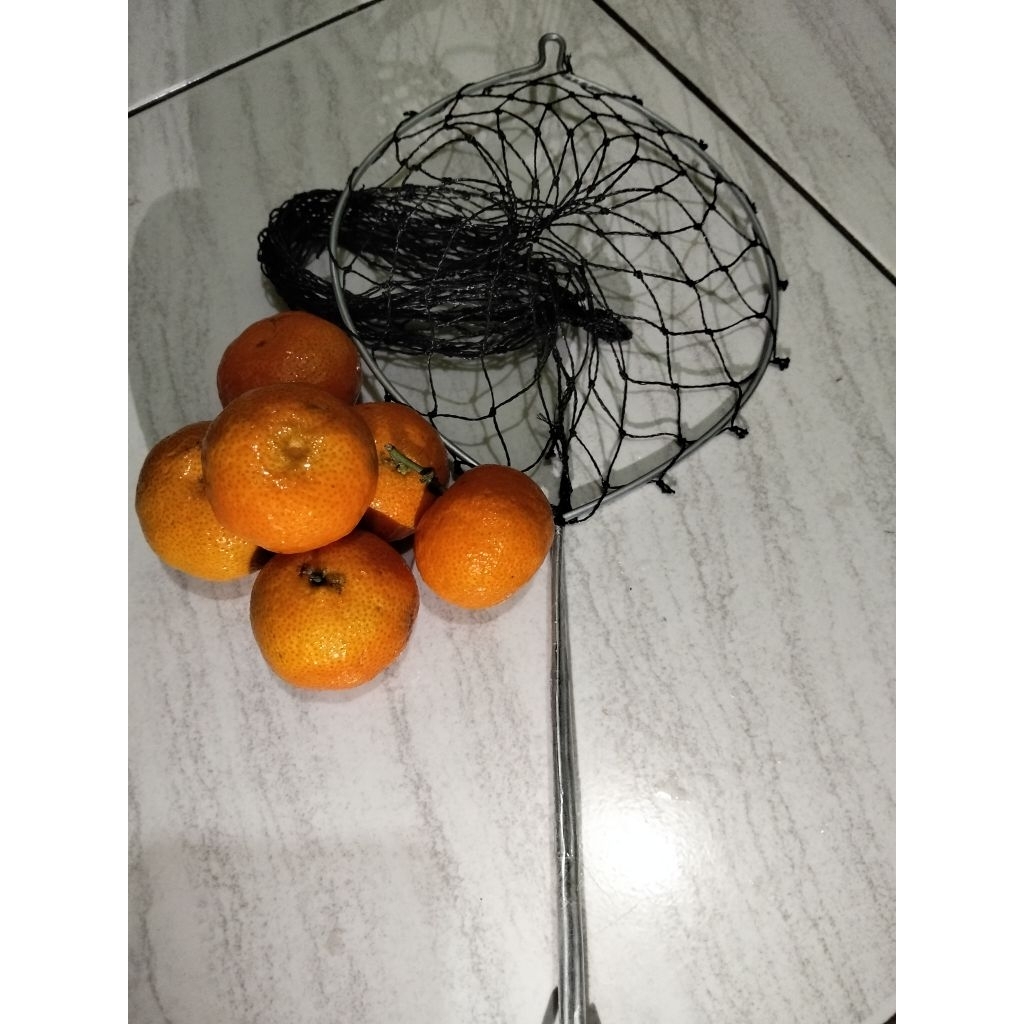 Alat Pemetik Buah Mangga Alpukat Kedondong dll