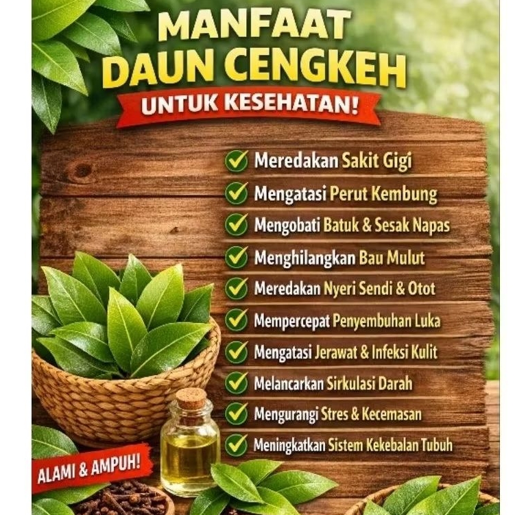 Daun Cengkeh Segar Alami | Daun Cengkeh Basah Fresh | Herbal Tradisional