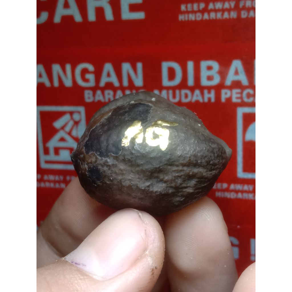 muncang JALIM GURAME JR (ULTRAMEN) kode A