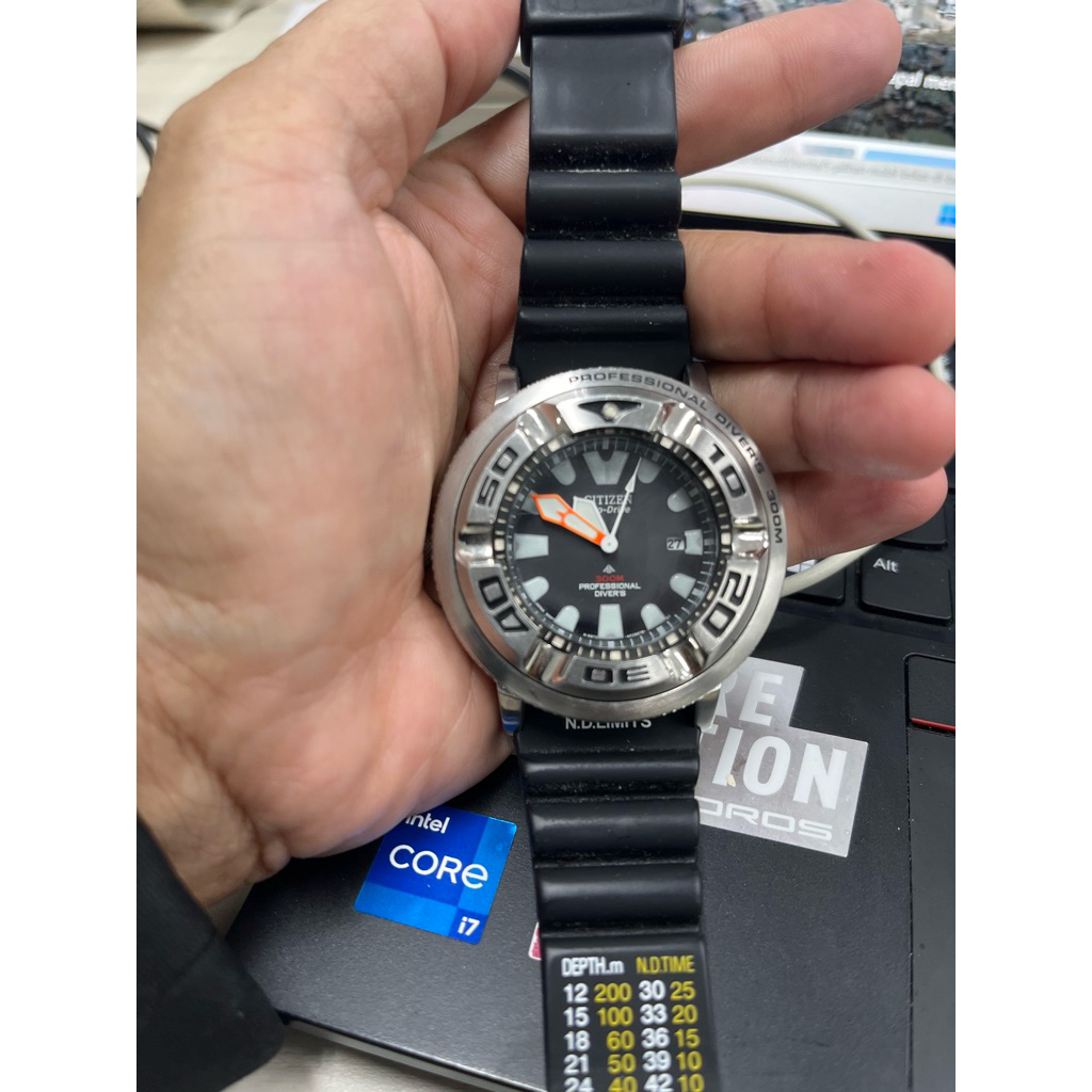 Citizen ecozilla promaster diver 300m