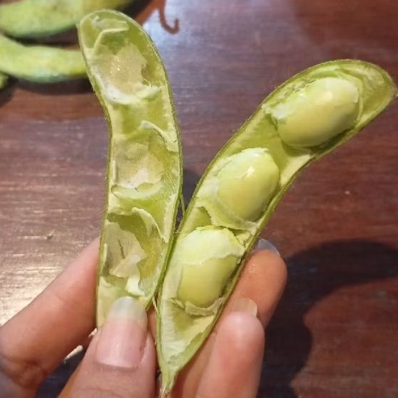 Fresh edamame