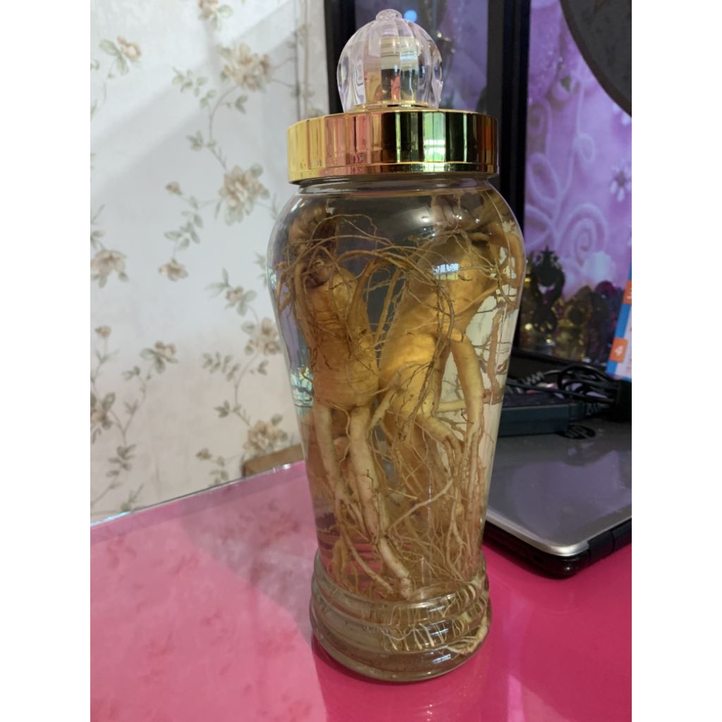 Botol Ginseng Korea 1,8 Liter